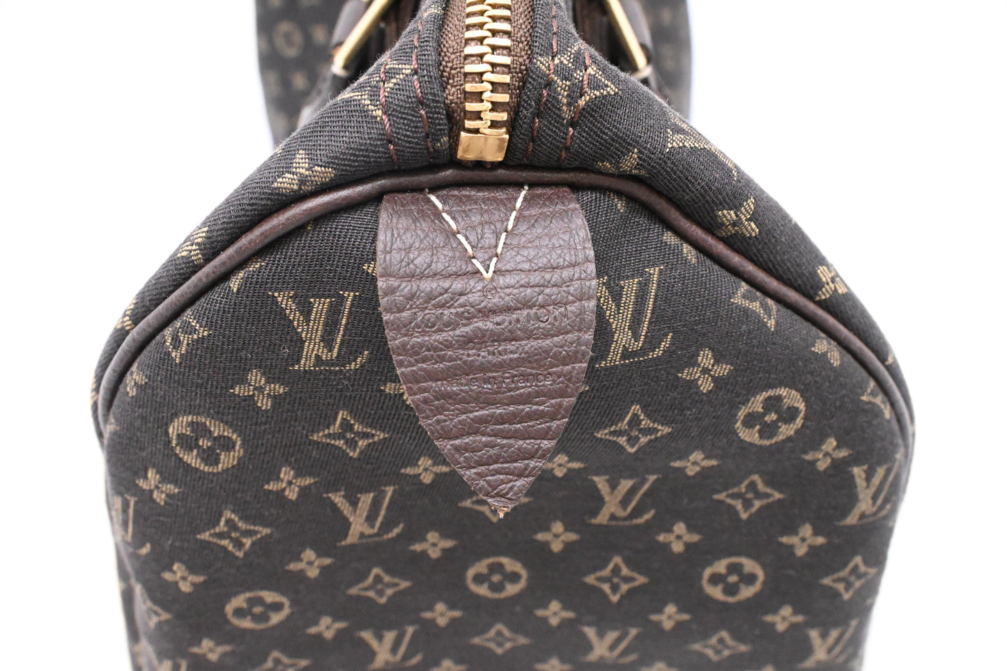 Louis Vuitton Speedy 30 in Fusain Minilin Canvas
