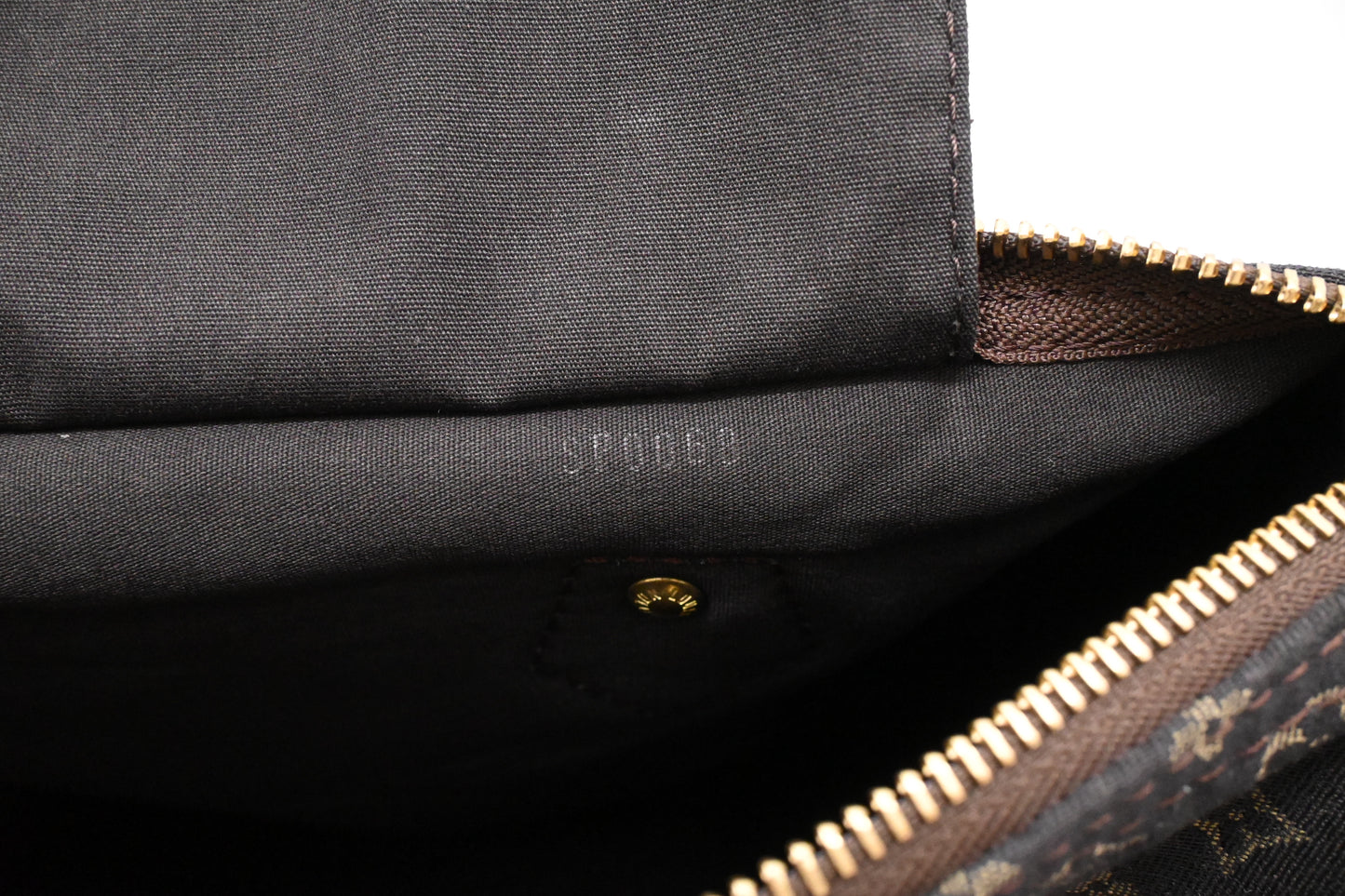 Louis Vuitton Speedy 30 in Fusain Minilin Canvas