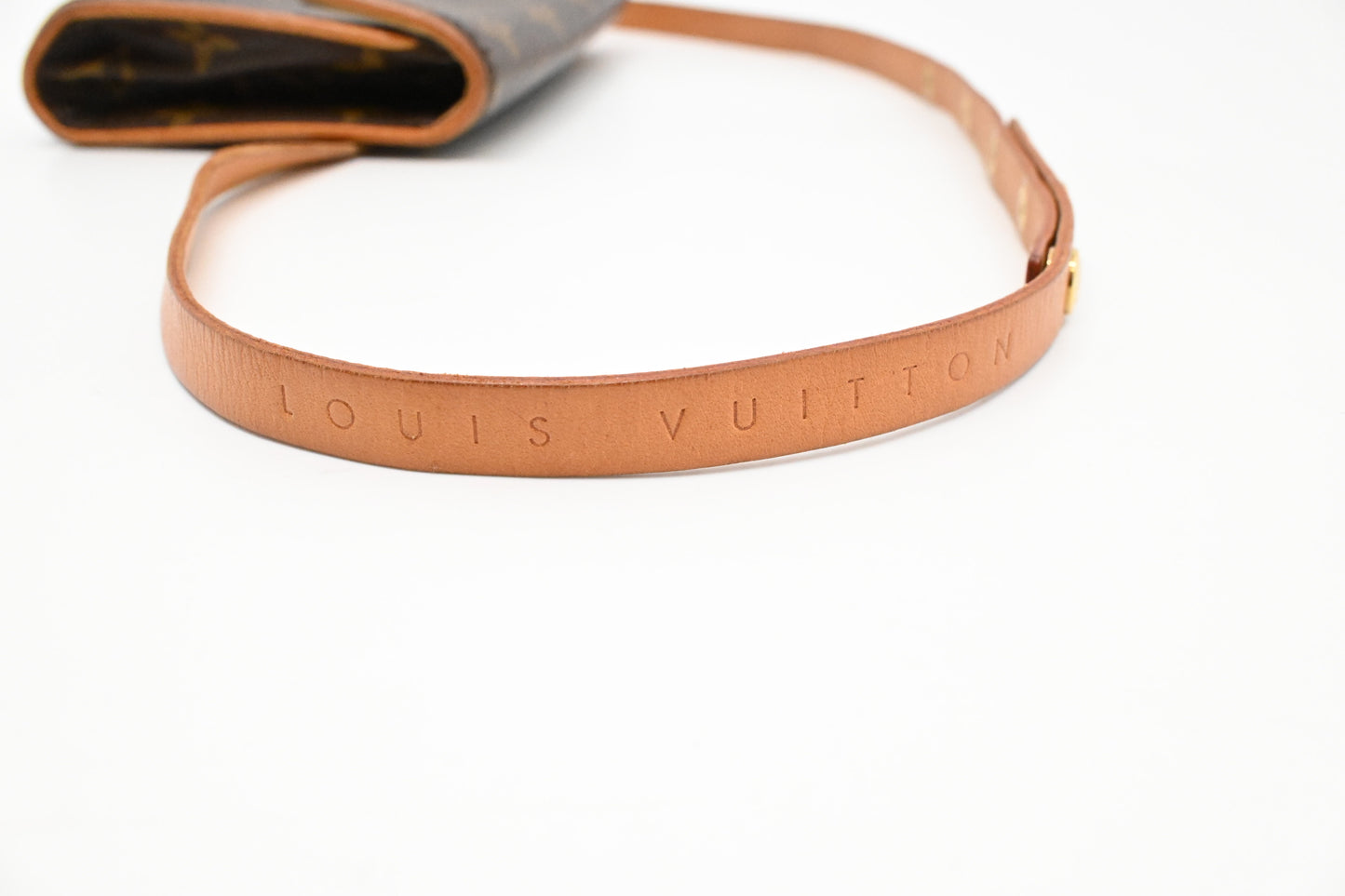 Louis Vuitton Pochette Florentine in Monogram Canvas