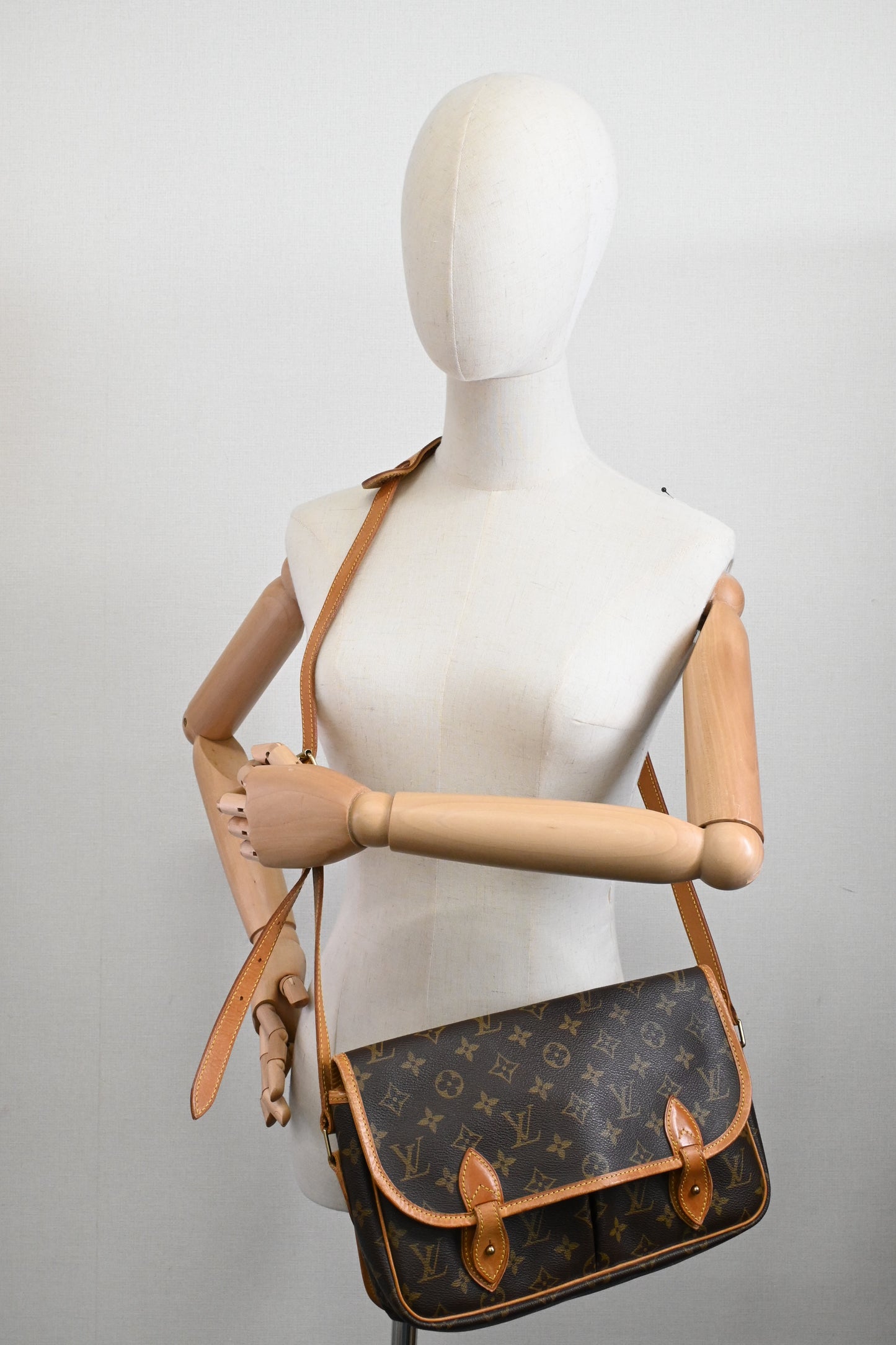 Louis Vuitton Gibeciere in Monogram Canvas