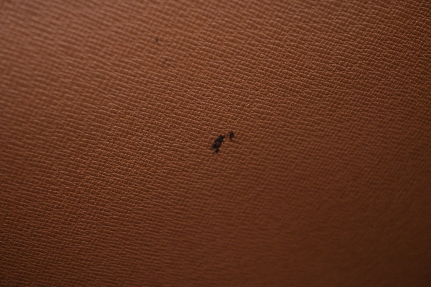 Louis Vuitton Monceau 28 in Monogram Canvas