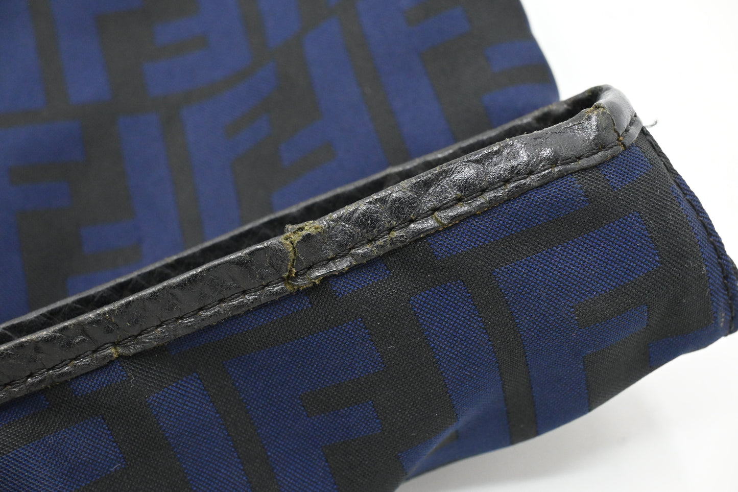 Fendi Hand Bag in Zucca Nylon