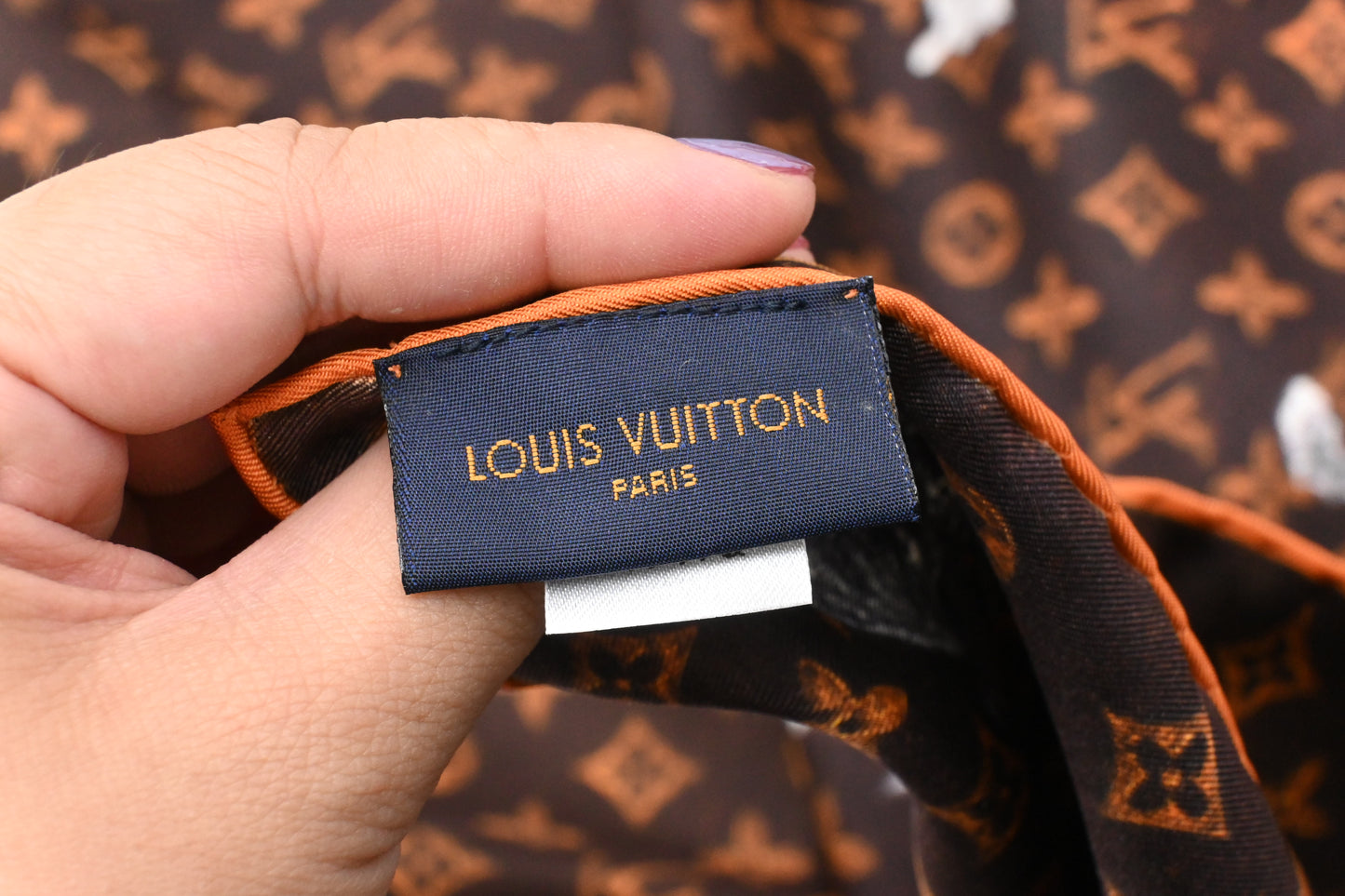 Louis Vuitton Catogram Scarf in Silk