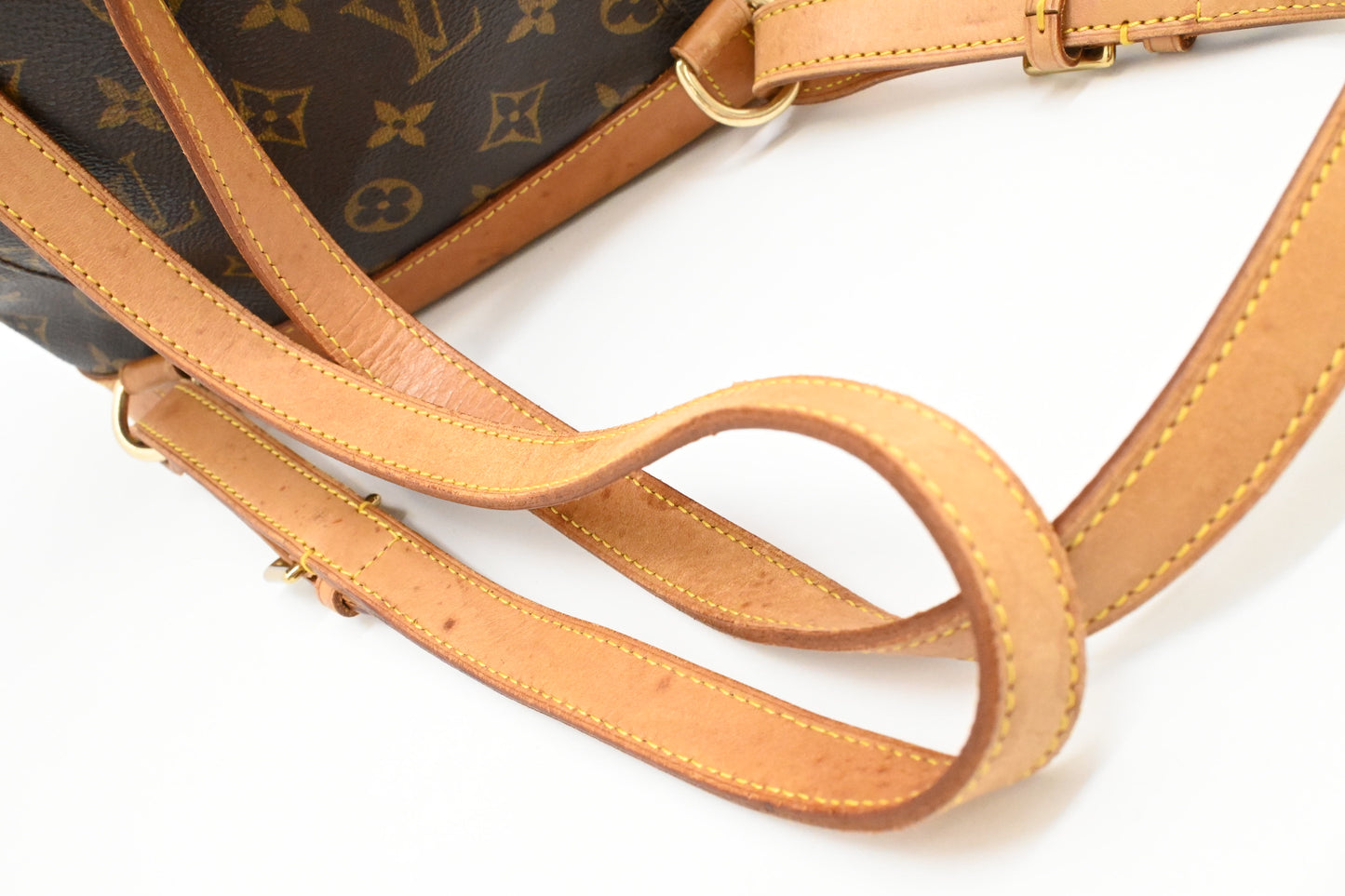 Louis Vuitton Montsouris MM in Monogram Canvas