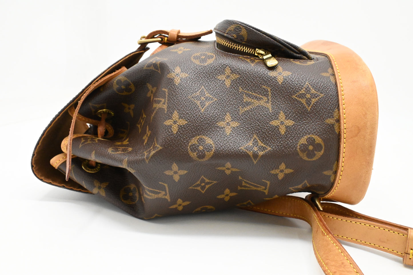 Louis Vuitton Montsouris MM in Monogram Canvas