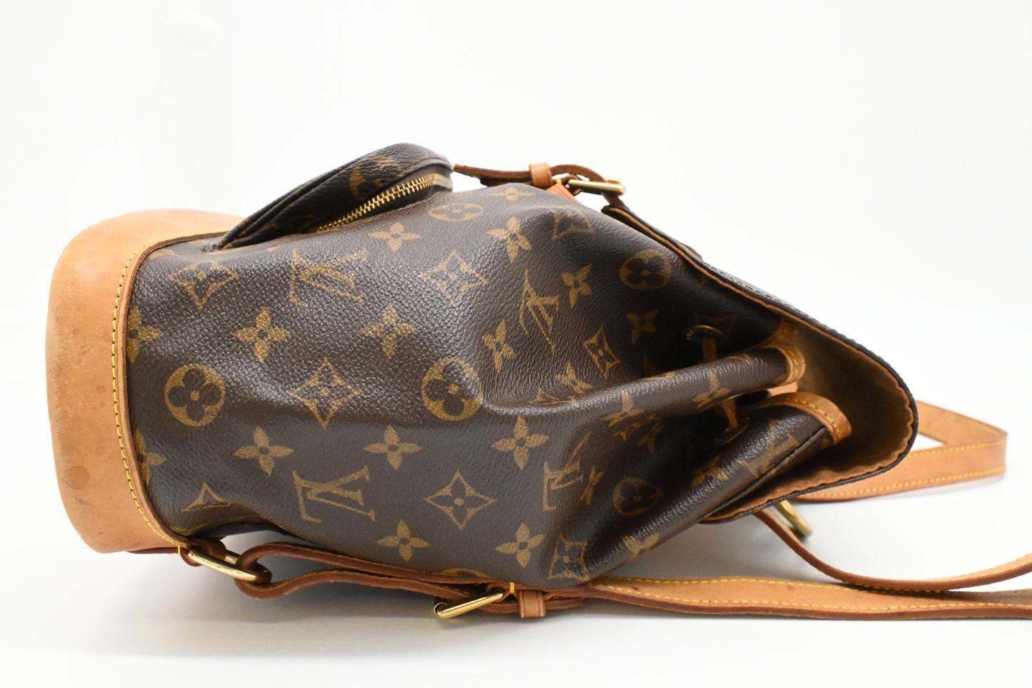 Louis Vuitton Montsouris MM in Monogram Canvas