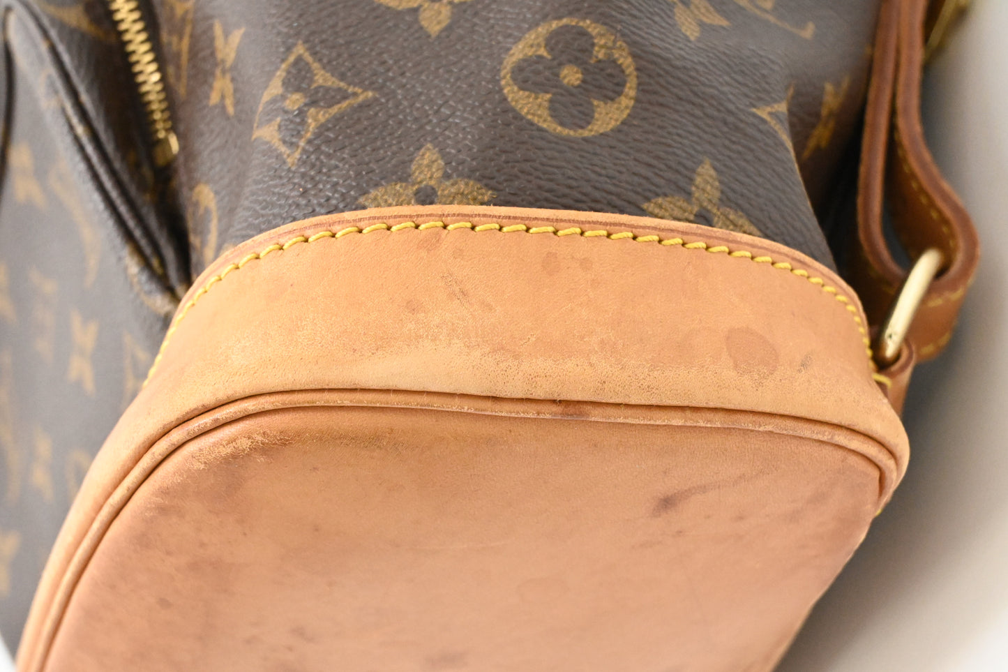 Louis Vuitton Montsouris MM in Monogram Canvas