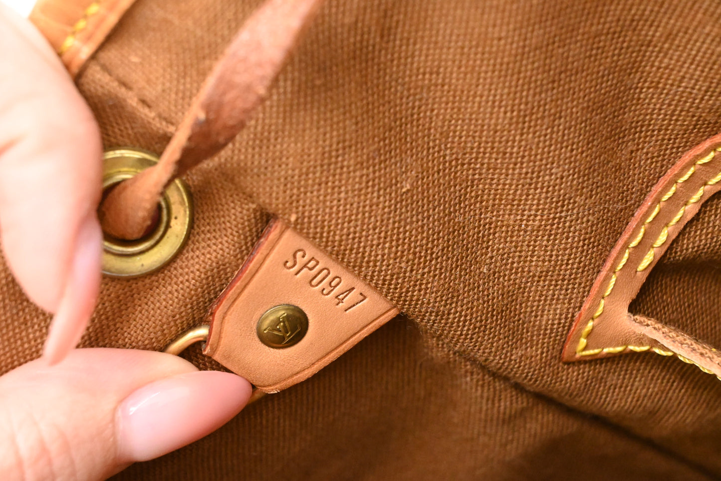 Louis Vuitton Montsouris MM in Monogram Canvas