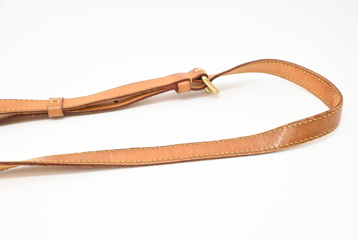 Louis Vuitton Odeon PM in Monogram Canvas