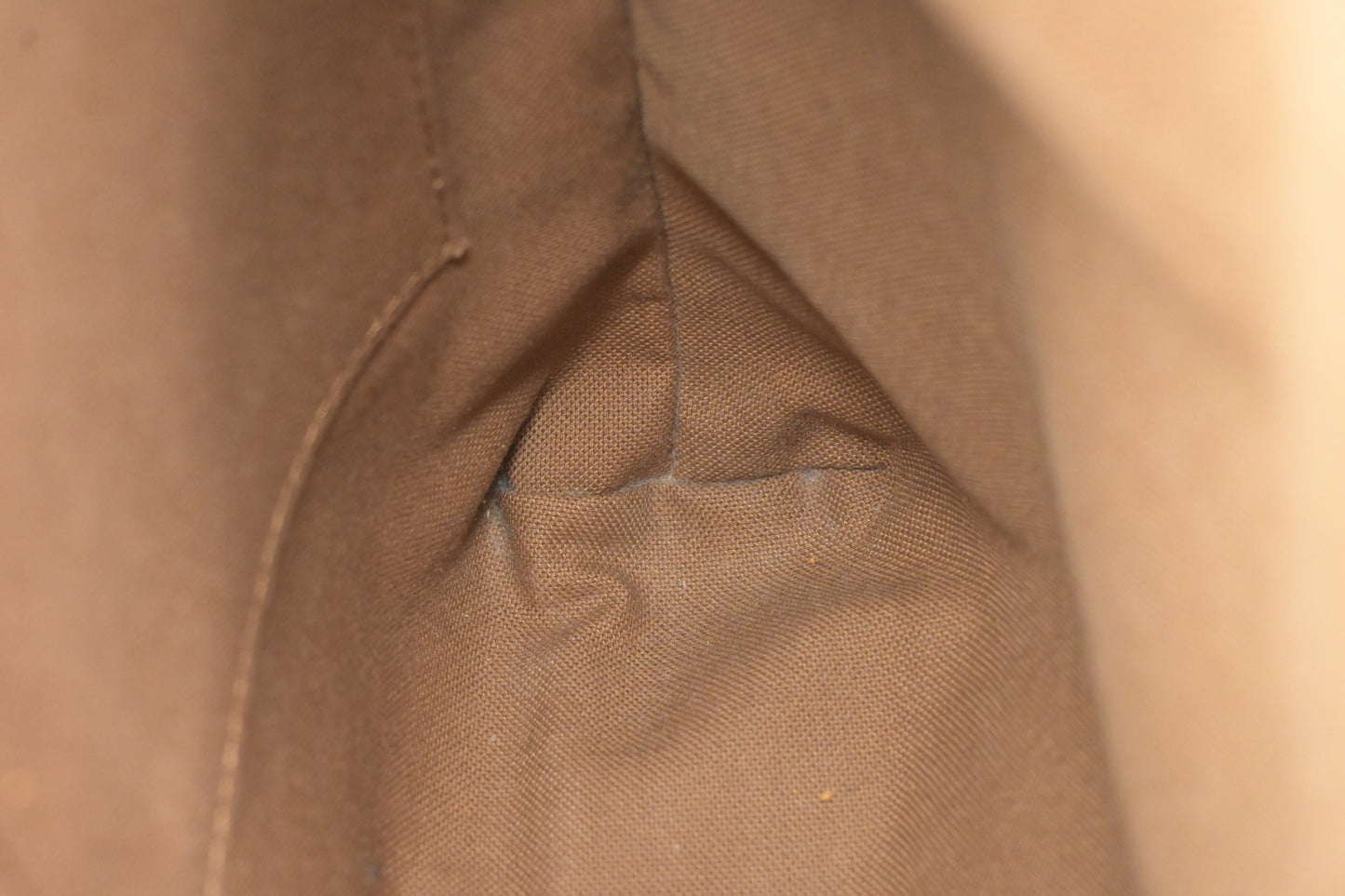 Louis Vuitton Odeon PM in Monogram Canvas