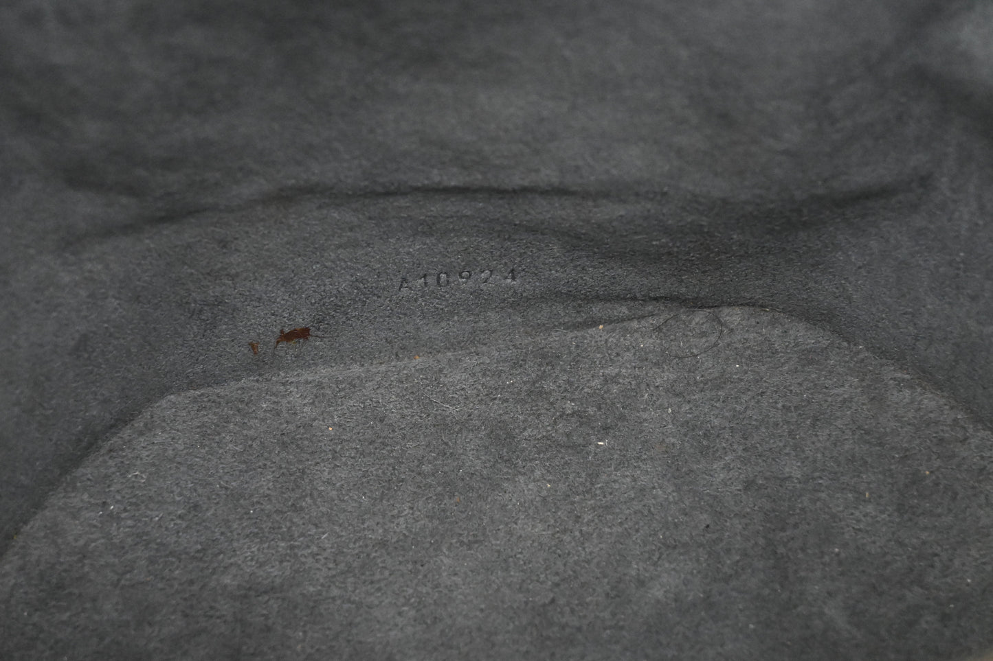 Louis Vuitton Cannes in Black Epi Leather