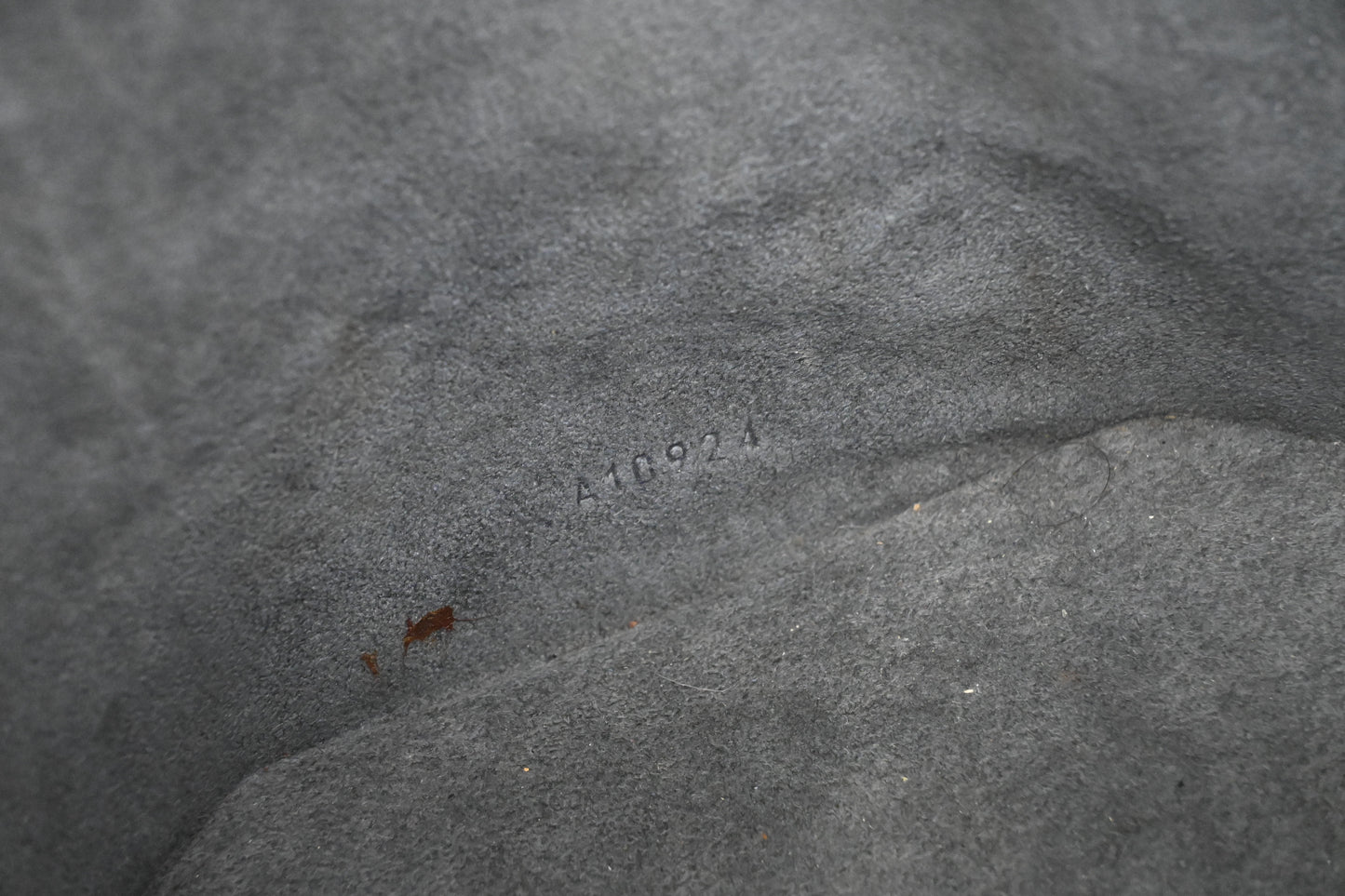 Louis Vuitton Cannes in Black Epi Leather