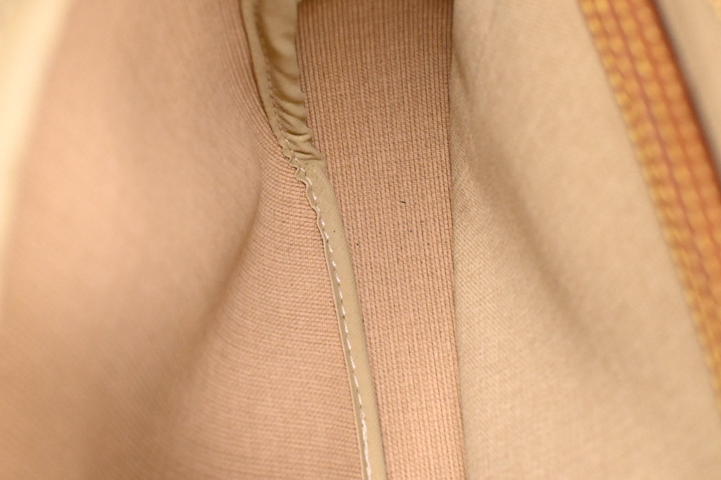 Louis Vuitton Reporter PM in Monogram Canvas