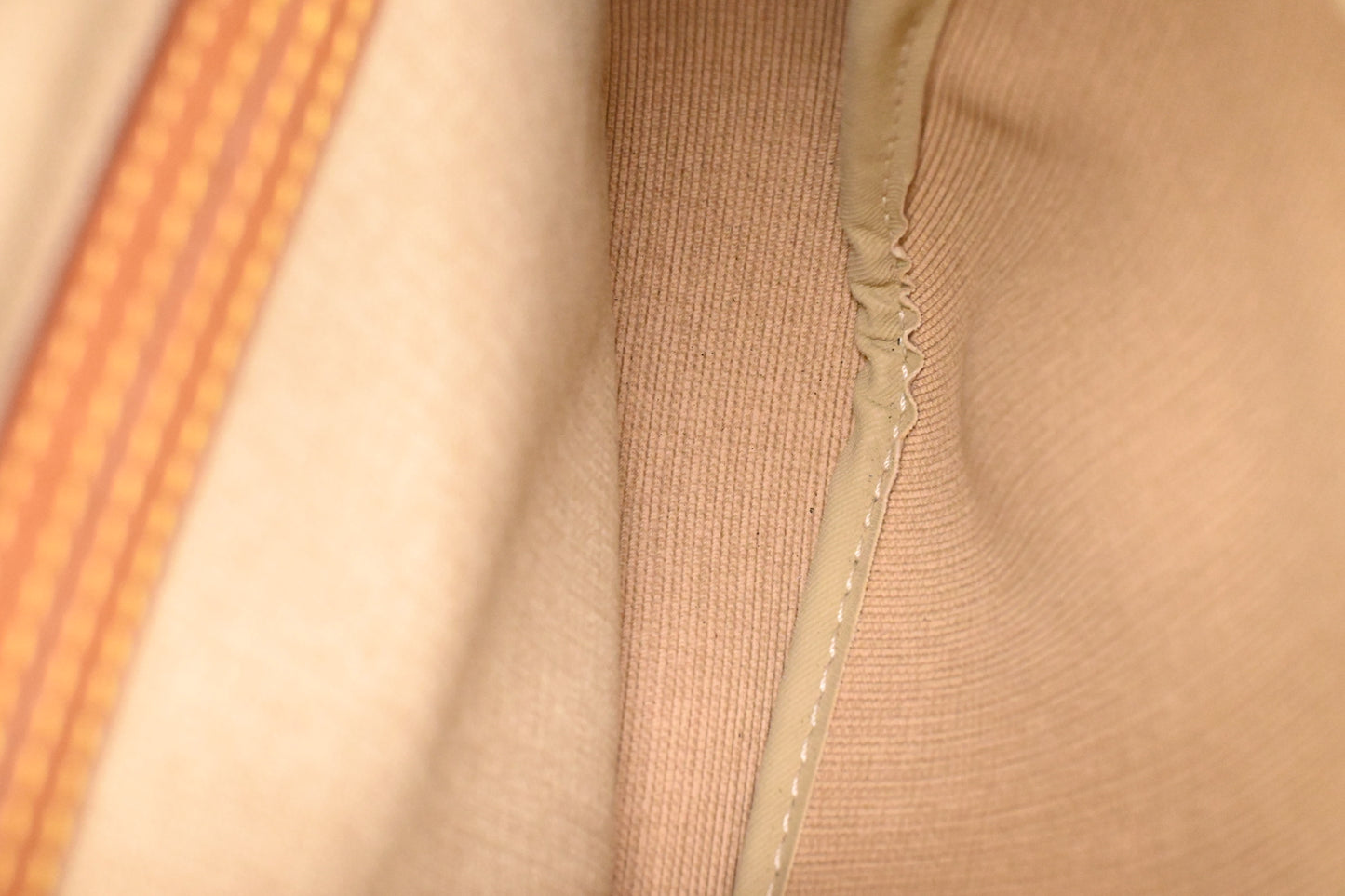 Louis Vuitton Reporter PM in Monogram Canvas