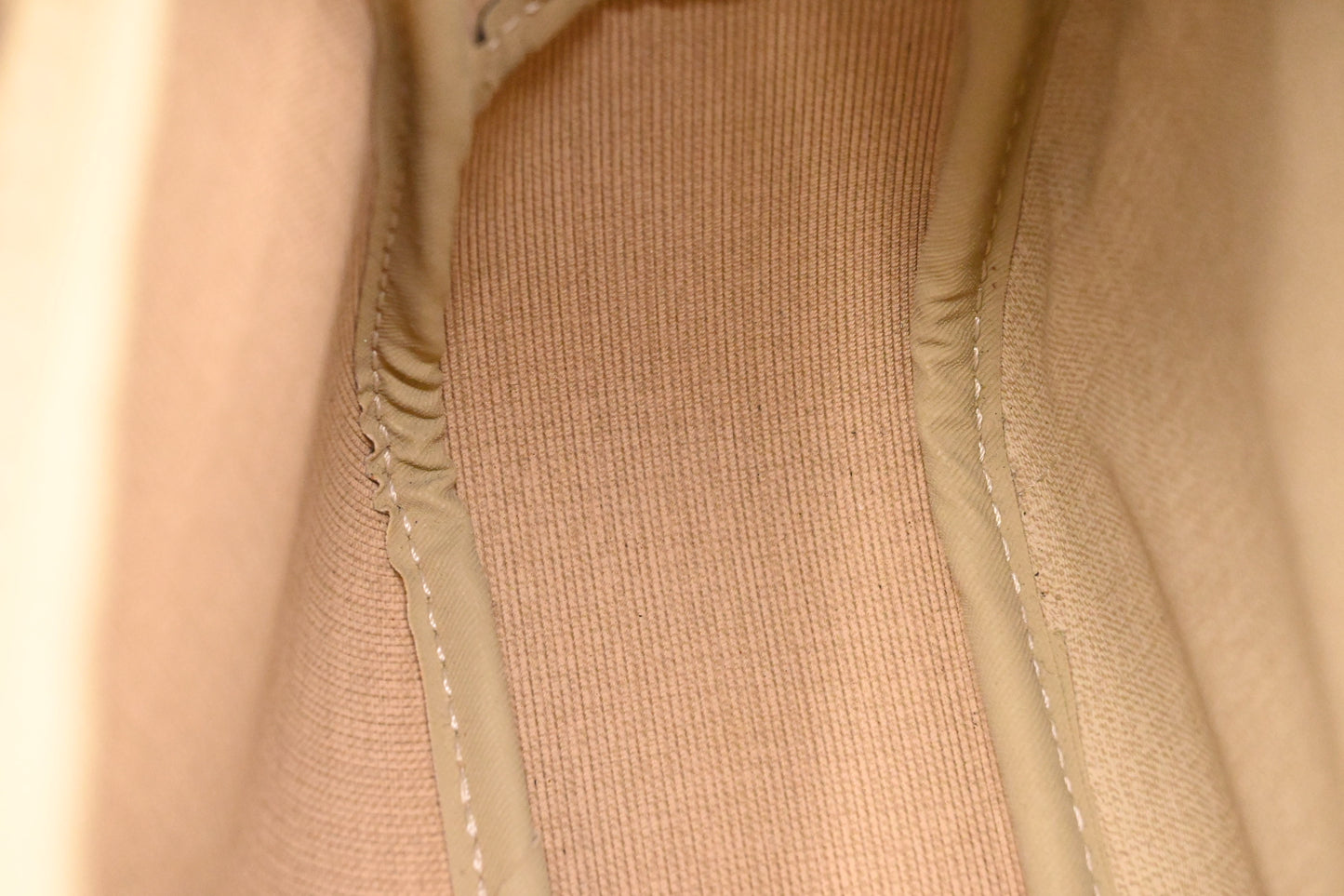 Louis Vuitton Reporter PM in Monogram Canvas