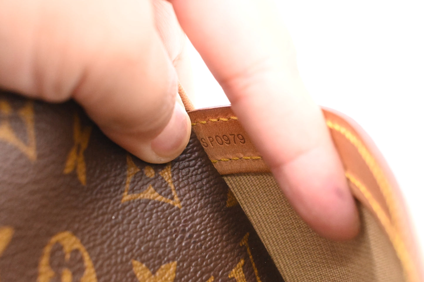Louis Vuitton Reporter PM in Monogram Canvas