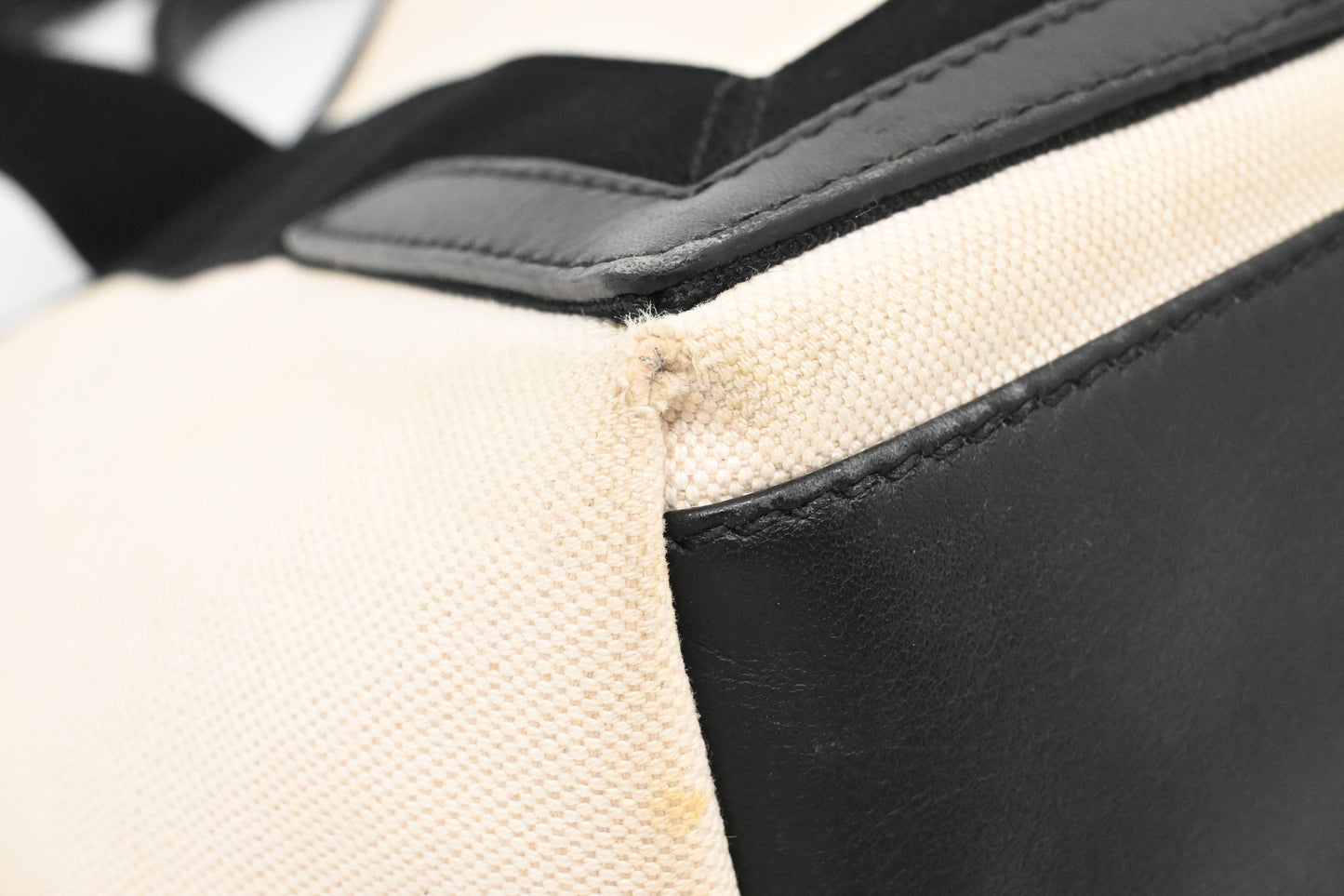 Balenciaga Cabas in White and Black Canvas