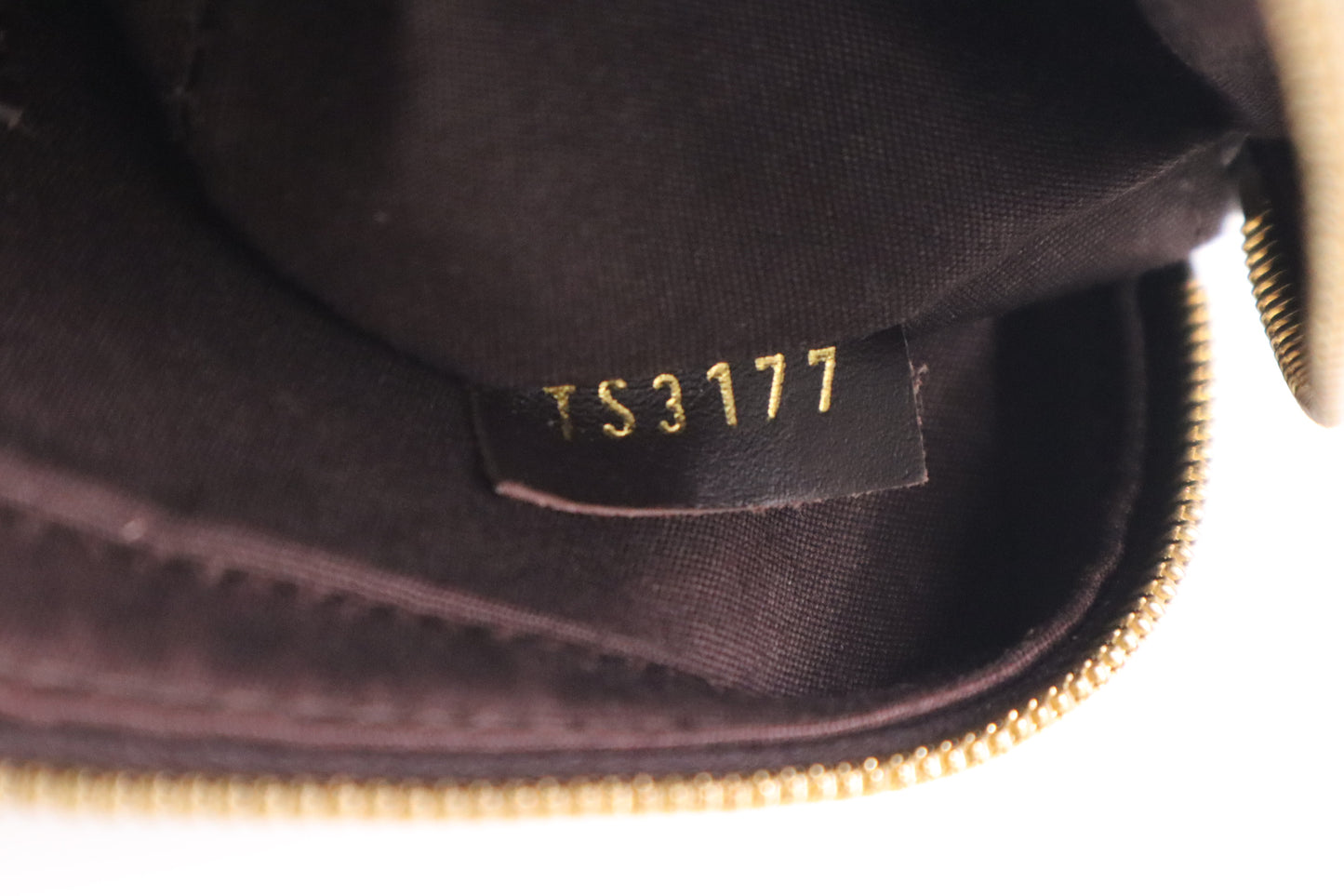 Louis Vuitton Camera Bag in Amarante Vernis Leather