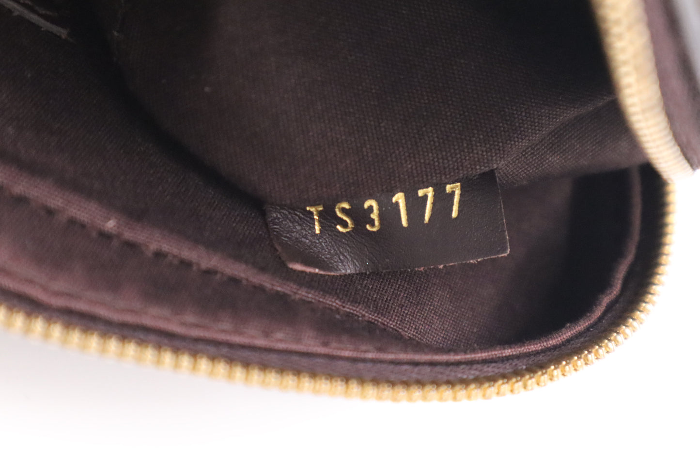 Louis Vuitton Camera Bag in Amarante Vernis Leather