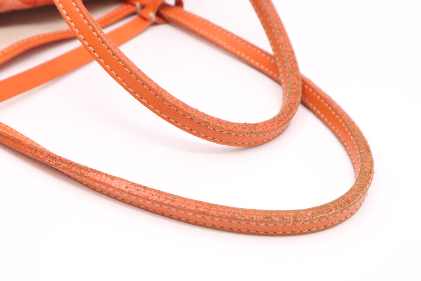 Goyard Saint Louis PM in Orange Goyardine Canvas