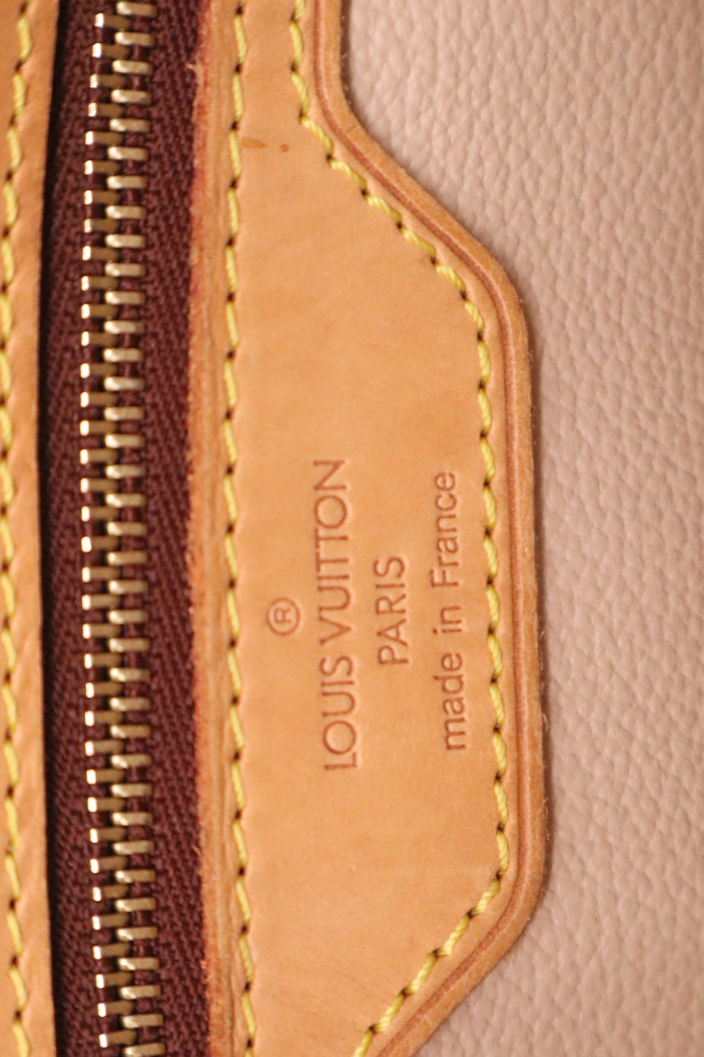 Louis Vuitton Bucket PM in Monogram Canvas