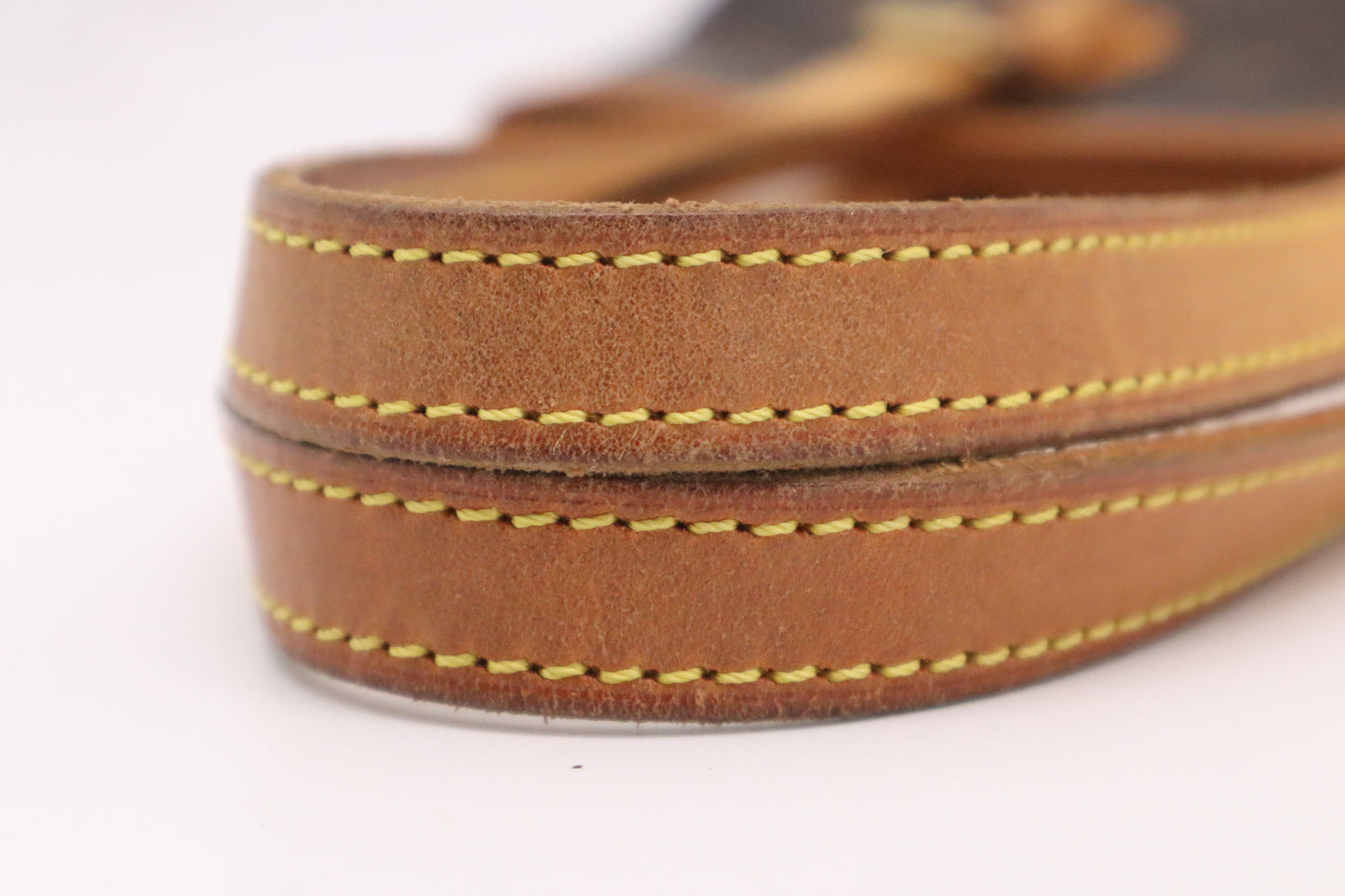 Louis Vuitton Bucket PM in Monogram Canvas