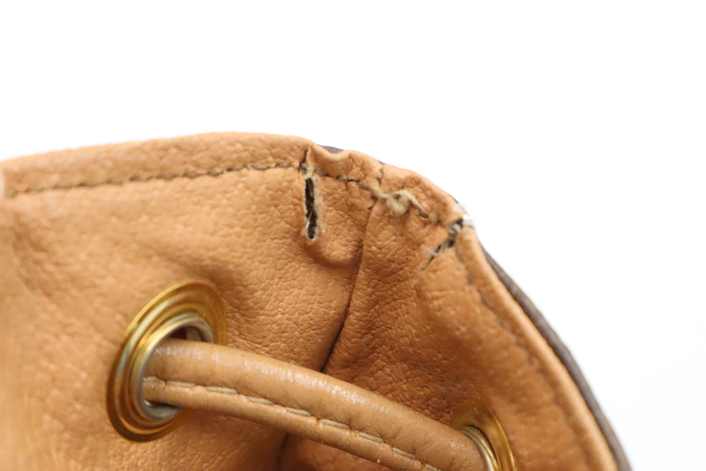 Celine Backpack in Brown Macadam Canvas