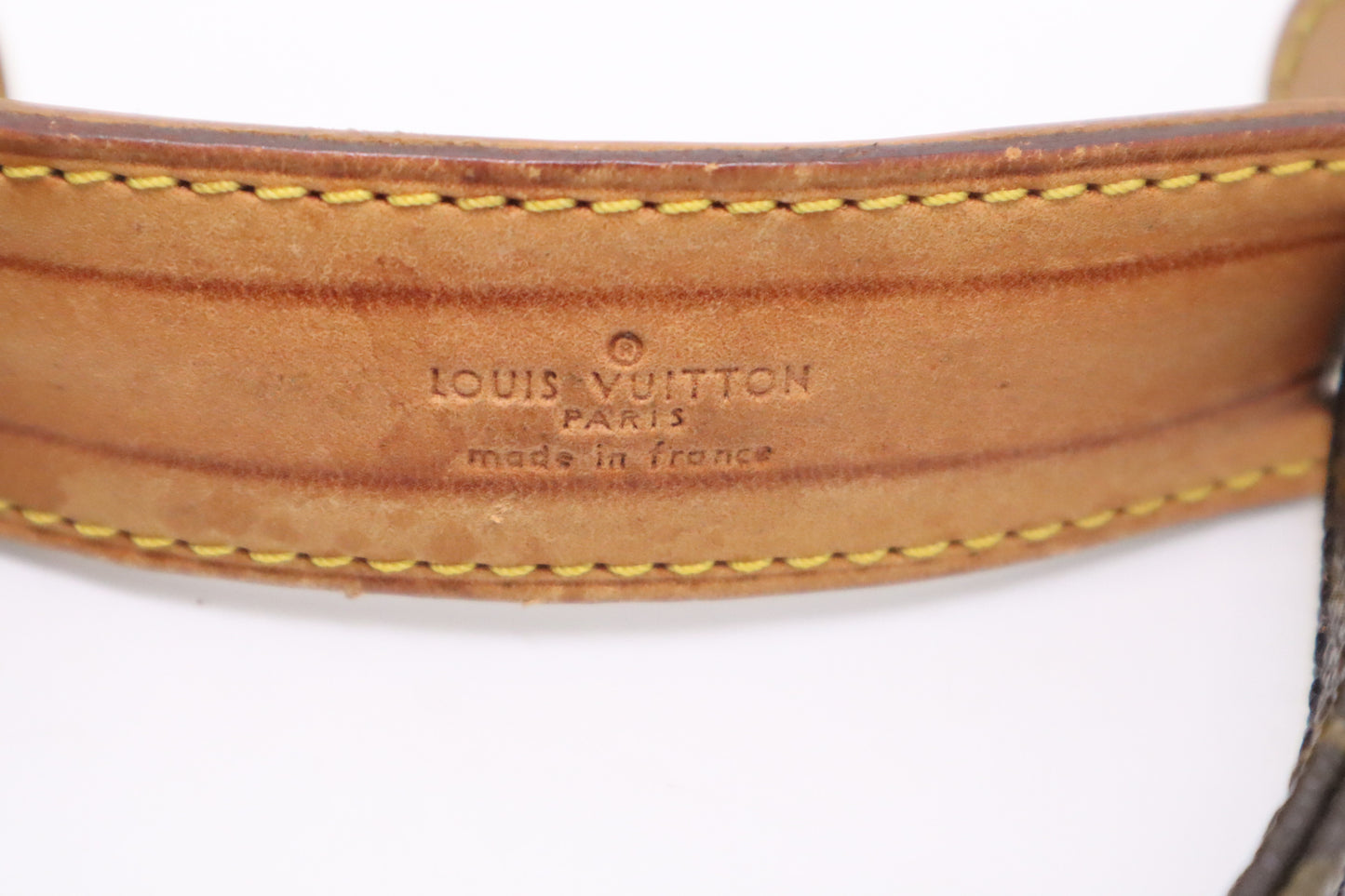 Louis Vuitton Danube PM in Monogram Canvas