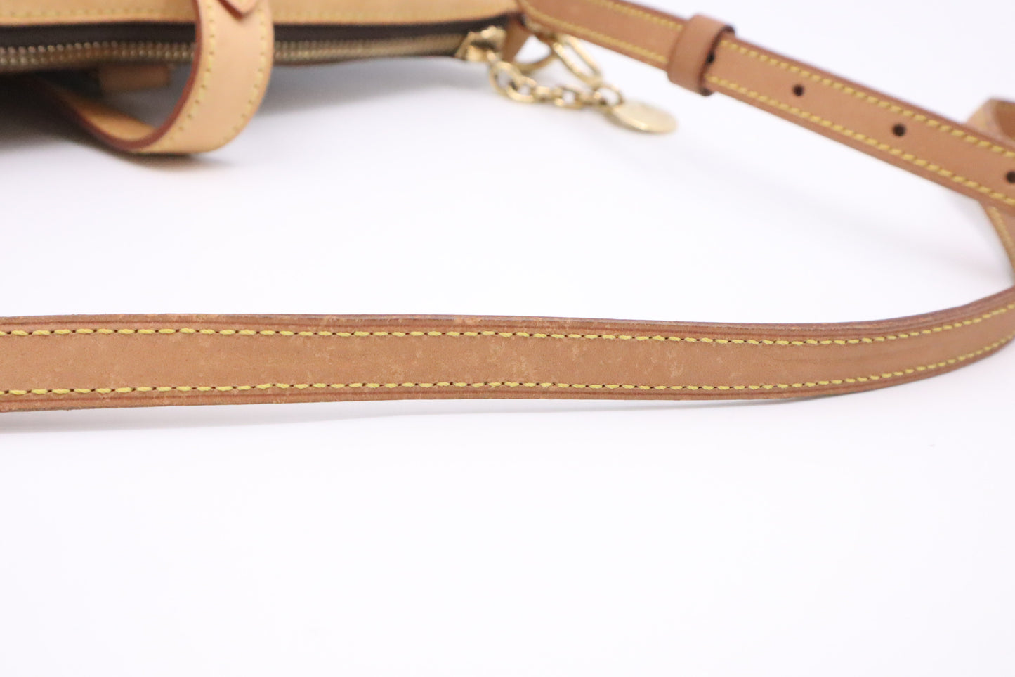Louis Vuitton Palermo PM in Monogram Canvas