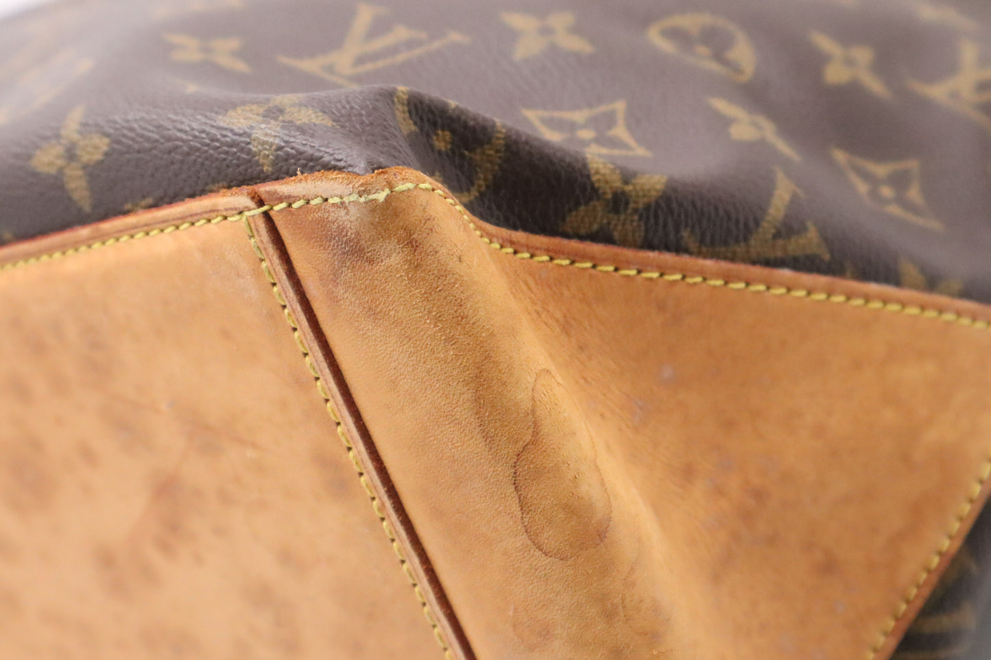 Louis Vuitton Cabas Alto in Monogram Canvas