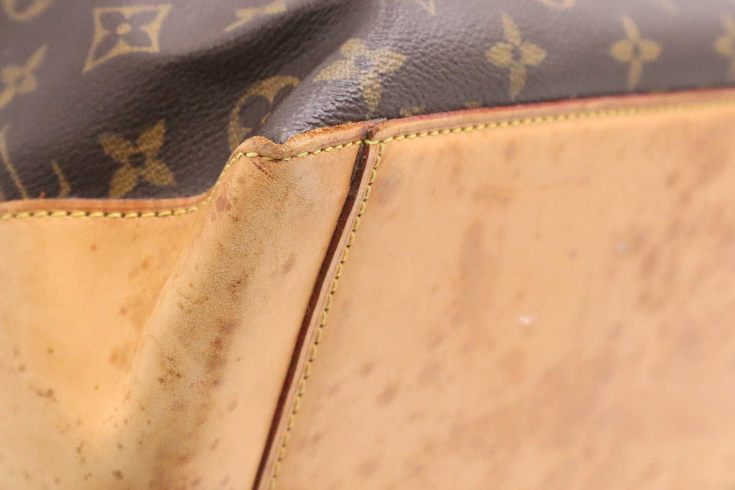 Louis Vuitton Cabas Alto in Monogram Canvas