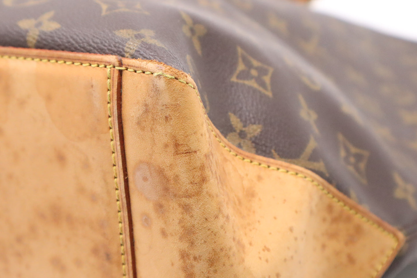 Louis Vuitton Cabas Alto in Monogram Canvas
