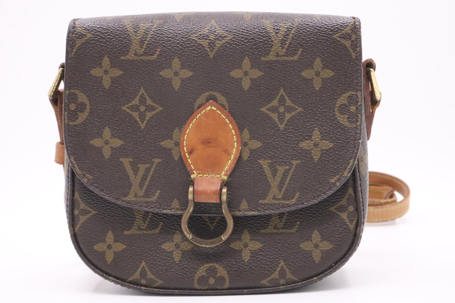 Louis Vuitton Saint Cloud PM in Monogram Canvas