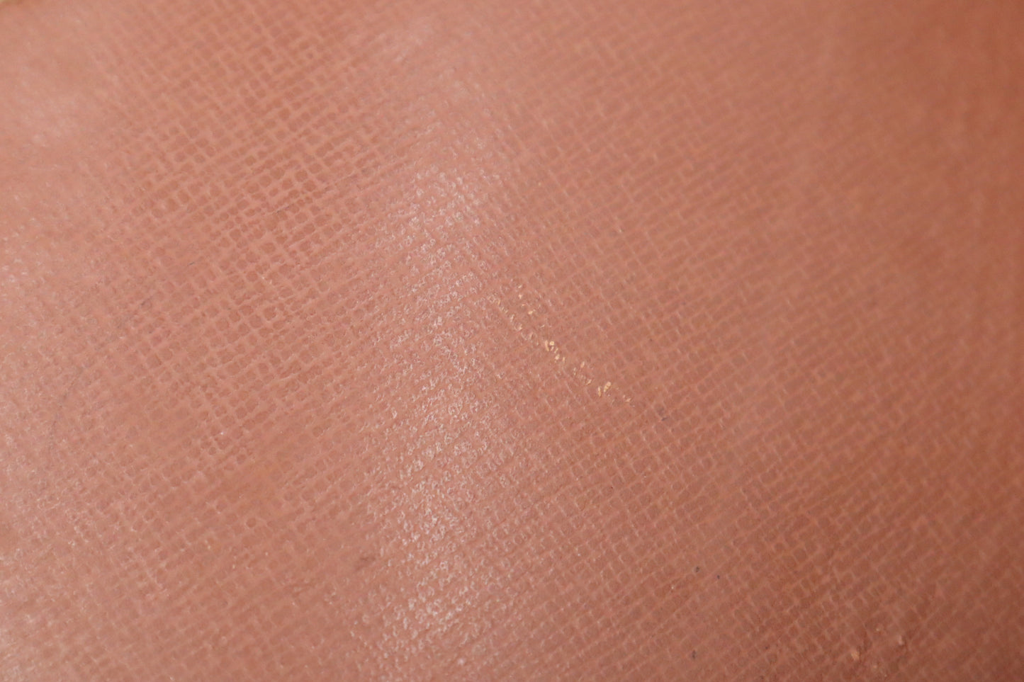 Louis Vuitton Saint Cloud PM in Monogram Canvas