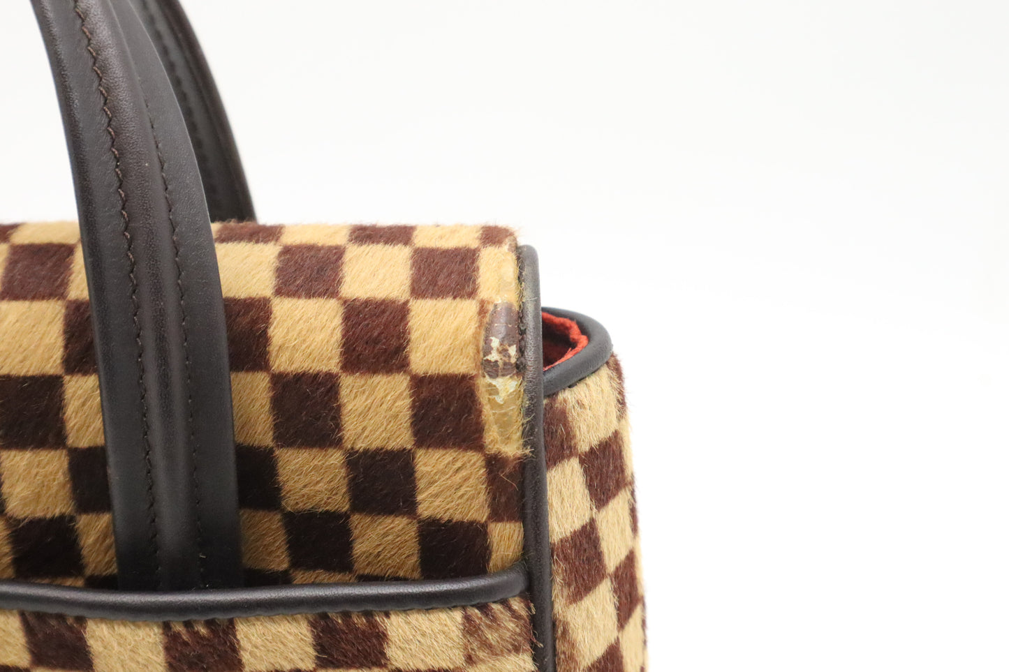 Louis Vuitton Lion Handbag in Damier Sauvage