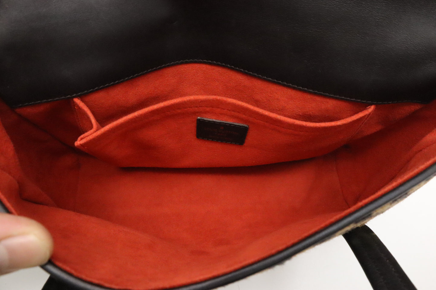 Louis Vuitton Lion Handbag in Damier Sauvage