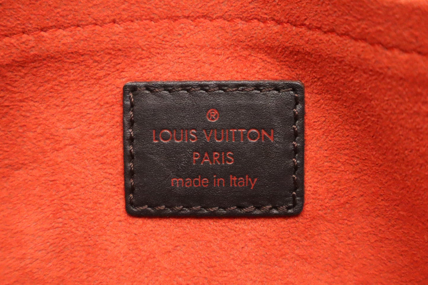 Louis Vuitton Lion Handbag in Damier Sauvage