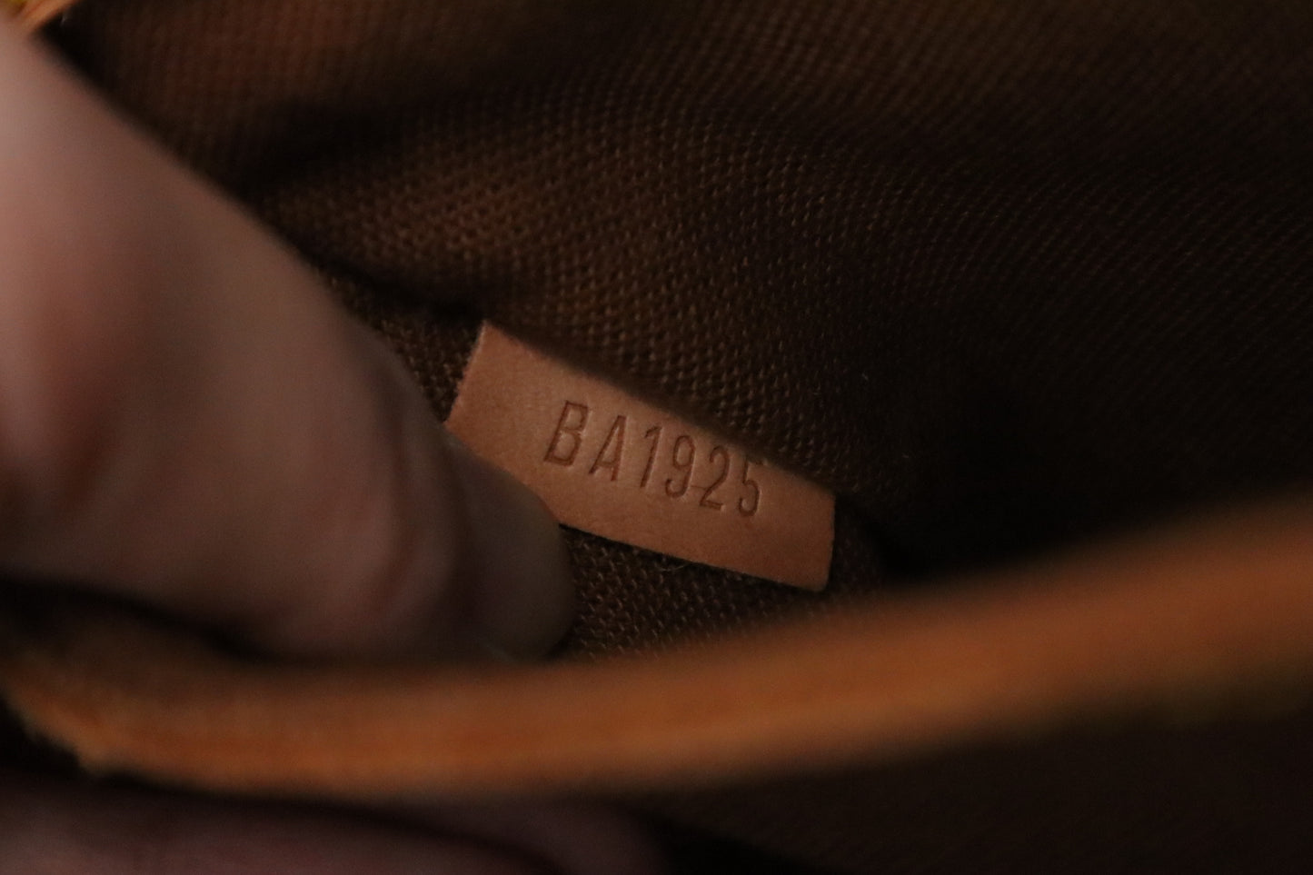 Louis Vuitton Alma PM in Monogram Canvas