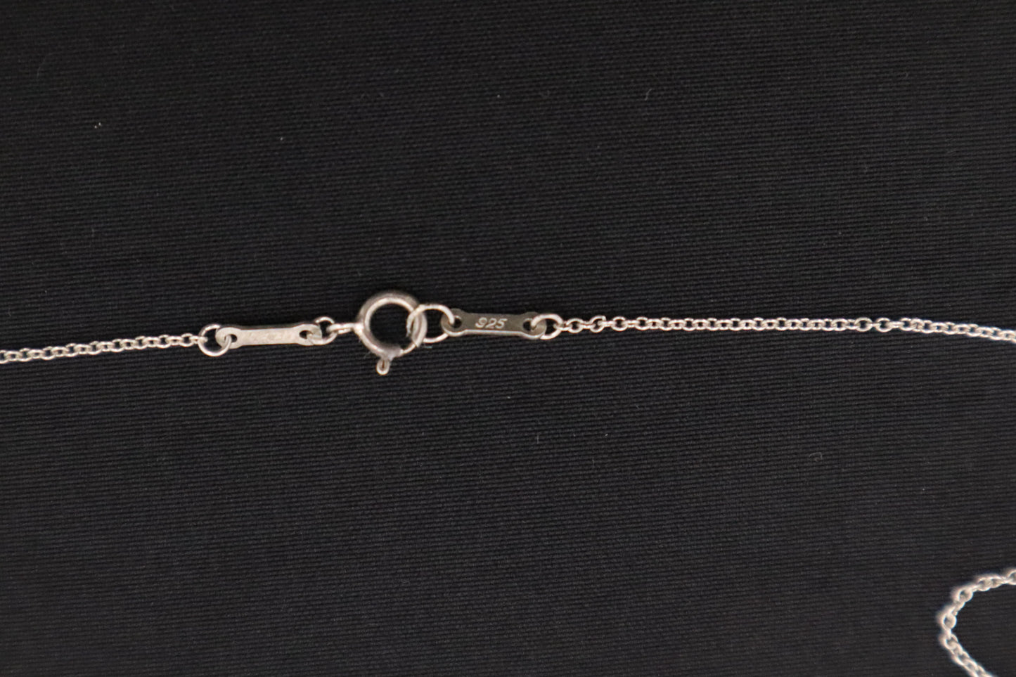 Tiffany & Co. Eternal Circle in Sterling Silver