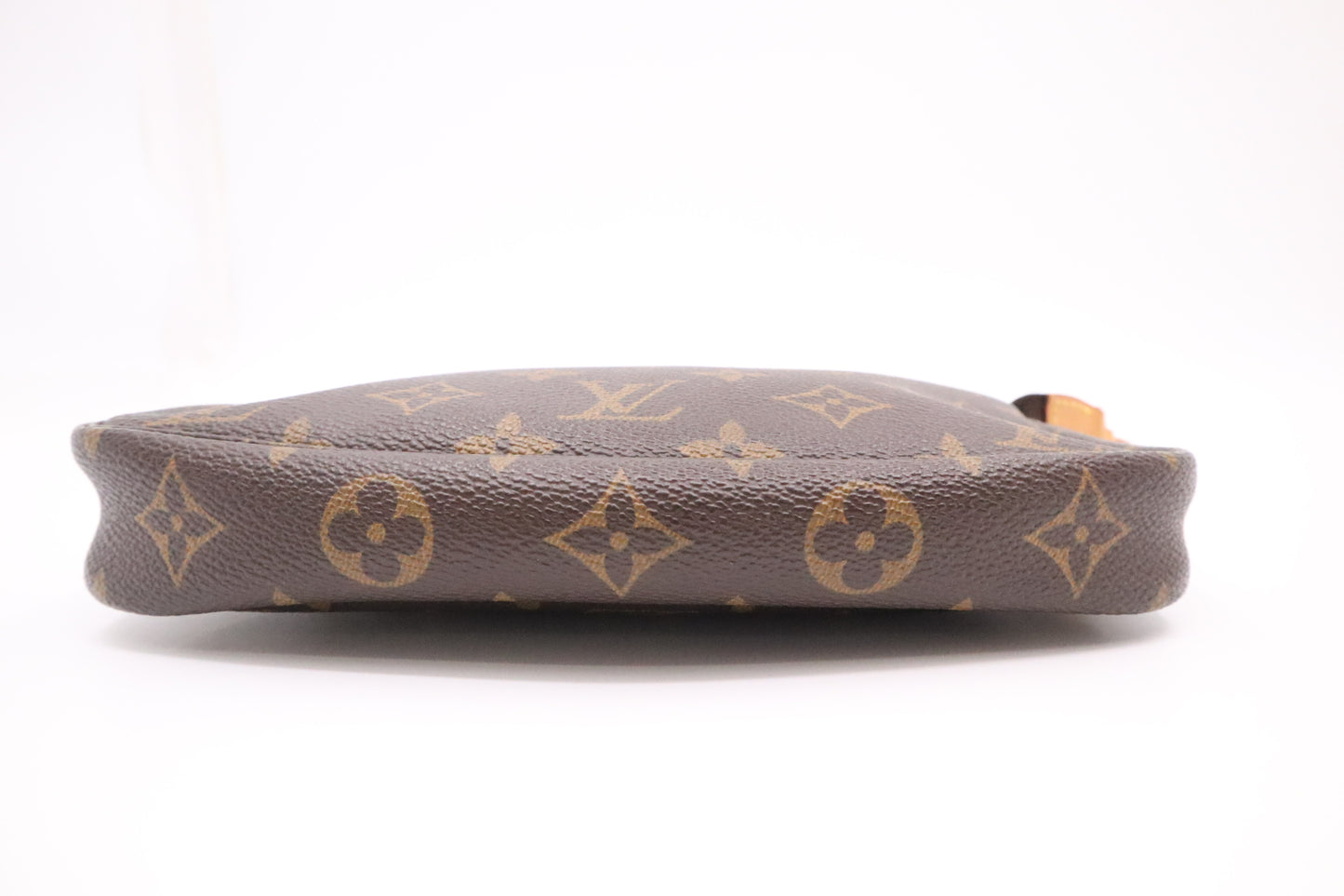 Louis Vuitton Pochette Accessoires in Monogram Canvas