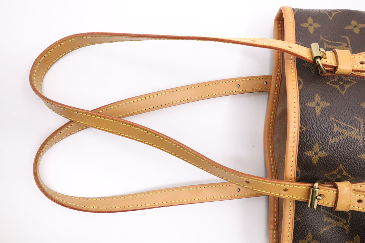 Louis Vuitton Bucket PM in Monogram Canvas