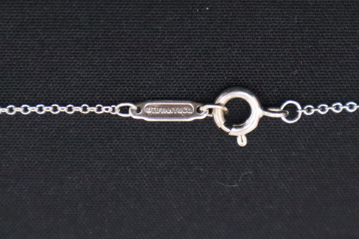 Tiffany & Co. Go Women 2019 Necklace in Sterling Silver
