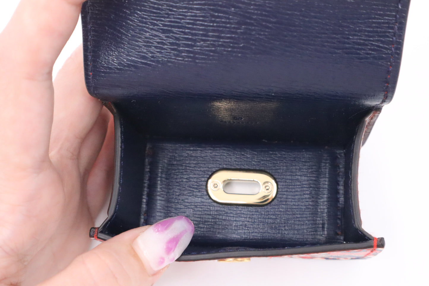 Gucci Dog Bag Case in Blue & Red Leather