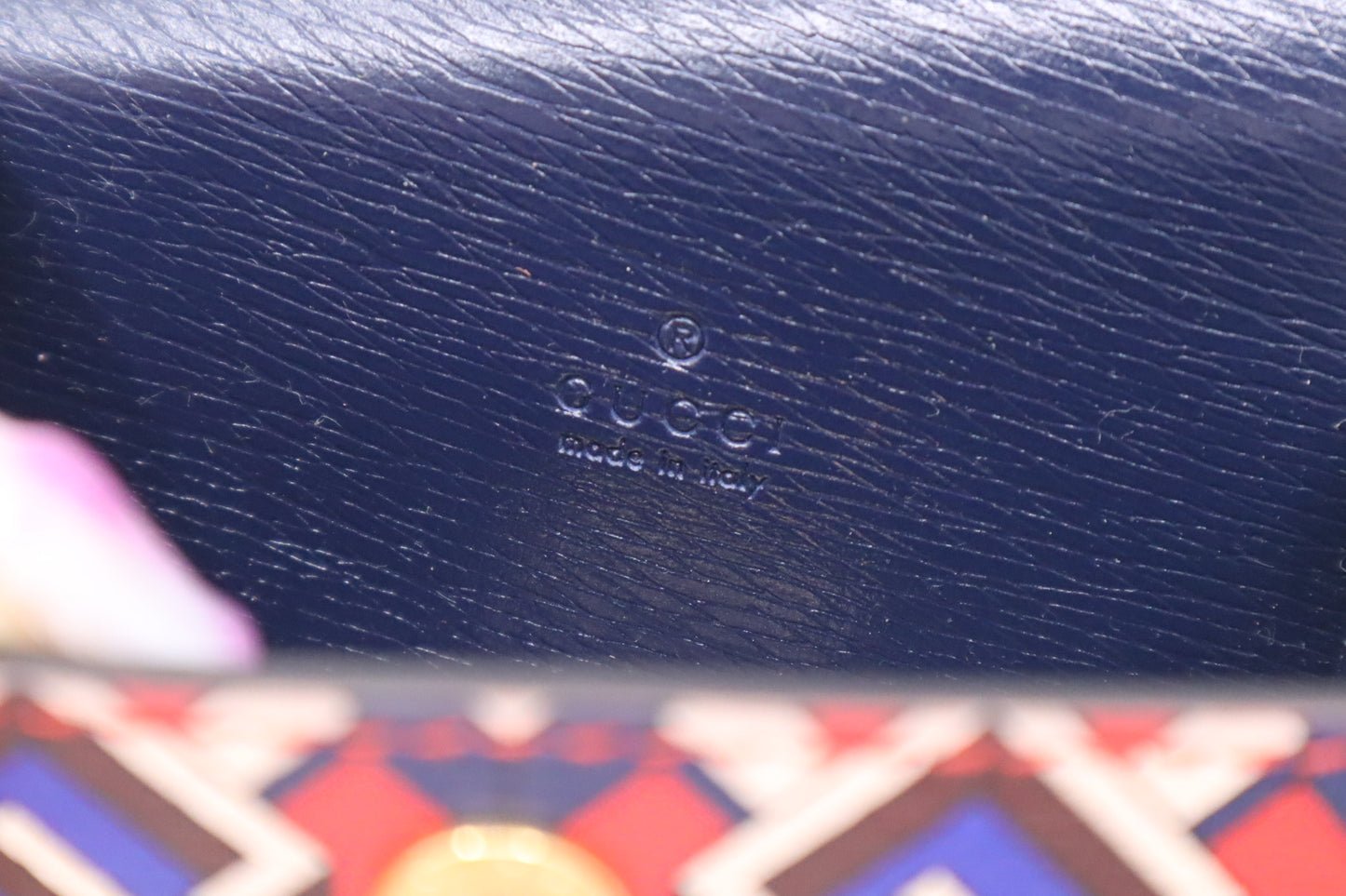 Gucci Dog Bag Case in Blue & Red Leather