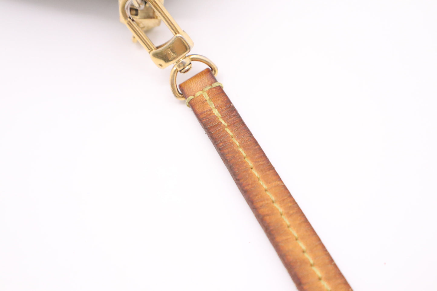 Louis Vuitton Favorite MM in Monogram Canvas