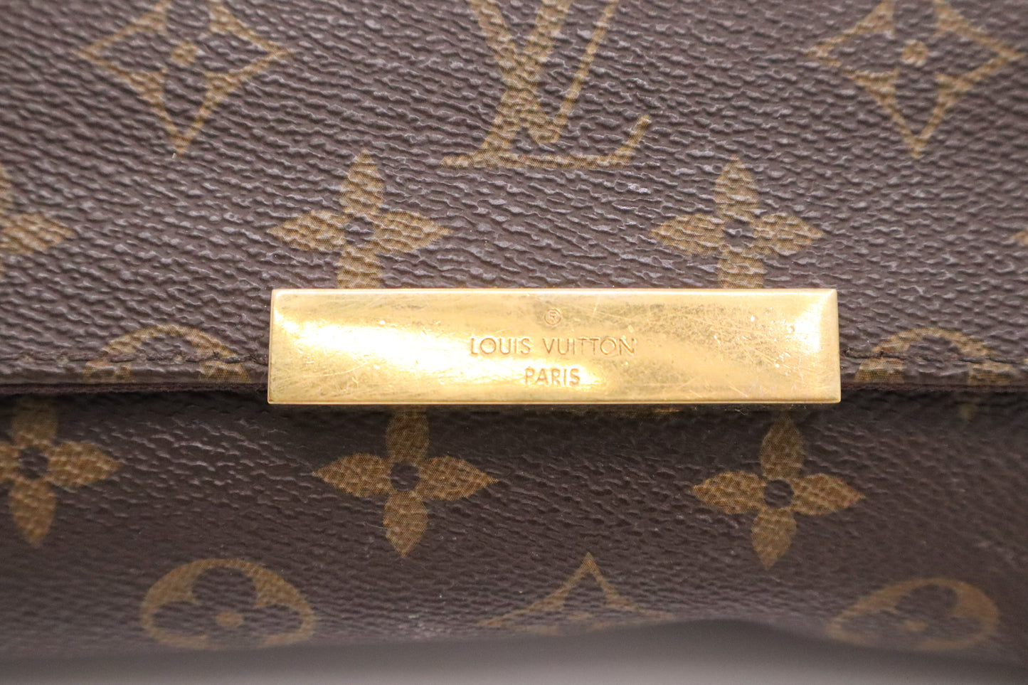 Louis Vuitton Favorite MM in Monogram Canvas