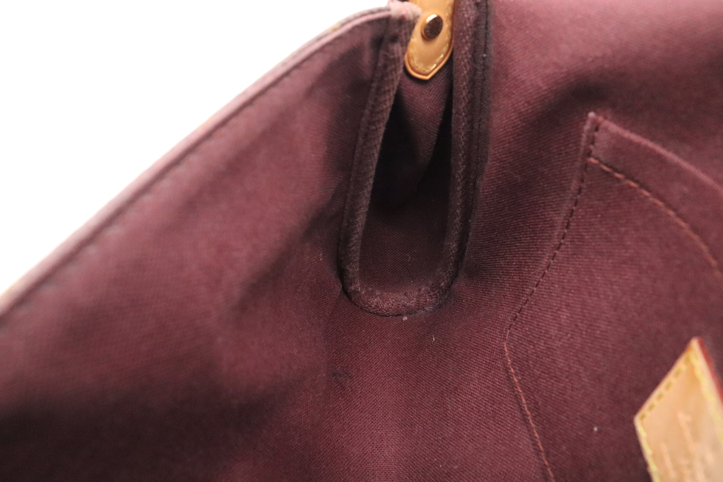 Louis Vuitton Favorite MM in Monogram Canvas