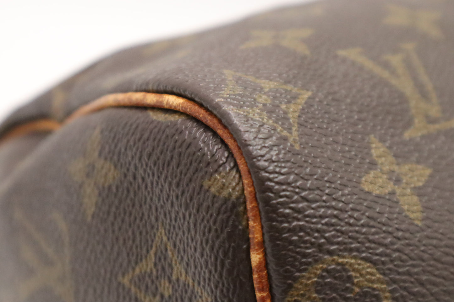 Louis Vuitton Speedy 25 in Monogram Canvas