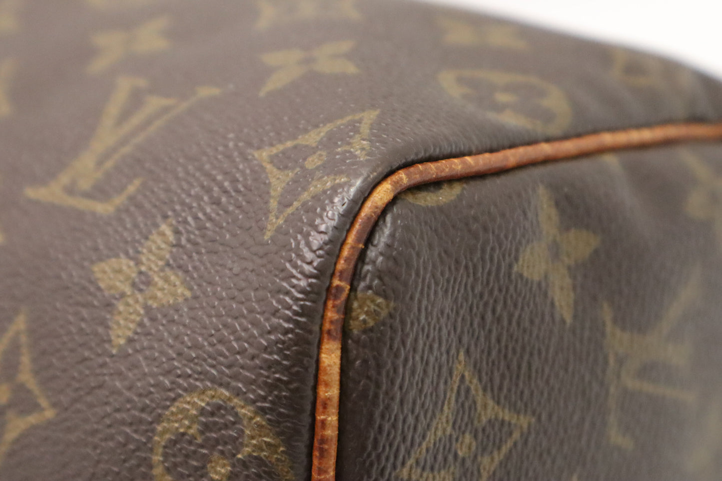 Louis Vuitton Speedy 25 in Monogram Canvas