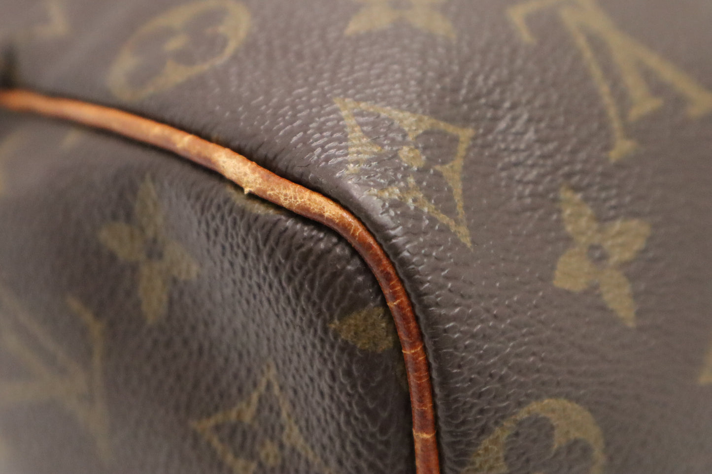 Louis Vuitton Speedy 25 in Monogram Canvas